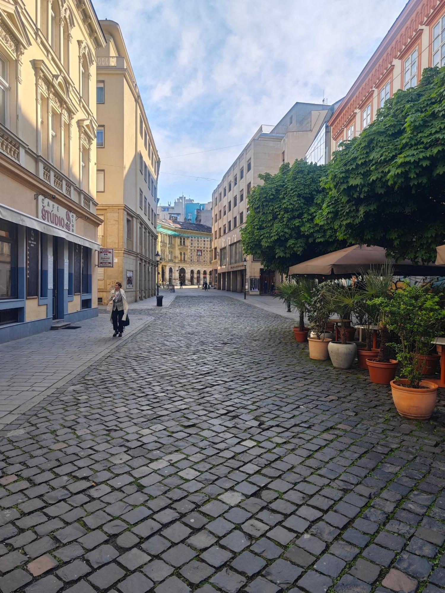 Апартаменти Laurinska Modern In Direct Centrum Of Bratislava, Air-condition